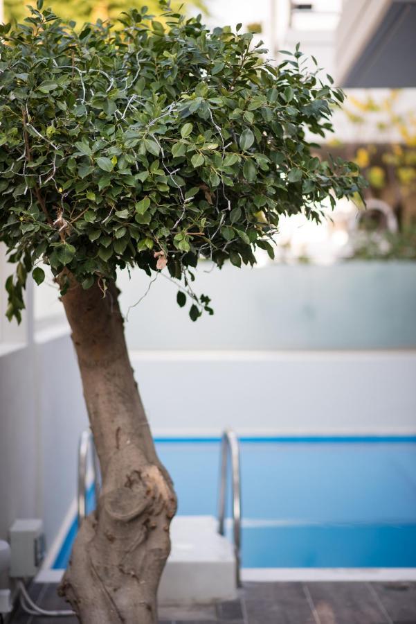 Palmyra Athens Villa Bagian luar foto